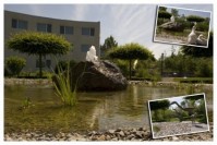 ��� - ����������� �� RCC-TRAVEL.RU