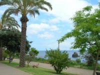 ���� - ����������� �� RCC-TRAVEL.RU