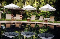 лежаки - фотогалерея на RCC-TRAVEL.RU лежаки - фотогалерея на RCC-TRAVEL.RU