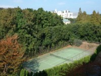 теннисный корт - фотогалерея на RCC-TRAVEL.RU теннисный корт - фотогалерея на RCC-TRAVEL.RU