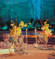 ресторан - фотогалерея на RCC-TRAVEL.RU ресторан - фотогалерея на RCC-TRAVEL.RU