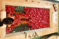 спа - фотогалерея на RCC-TRAVEL.RU спа - фотогалерея на RCC-TRAVEL.RU