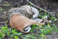 ������� ����� - ����������� �� RCC-TRAVEL.RU