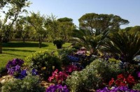 ��� - ����������� �� RCC-TRAVEL.RU