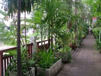 вид - фотогалерея на RCC-TRAVEL.RU вид - фотогалерея на RCC-TRAVEL.RU