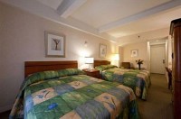  -   RCC-TRAVEL.RU