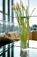 зона отдыха - фотогалерея на RCC-TRAVEL.RU зона отдыха - фотогалерея на RCC-TRAVEL.RU