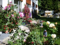 ��� - ����������� �� RCC-TRAVEL.RU