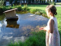 вид - фотогалерея на RCC-TRAVEL.RU вид - фотогалерея на RCC-TRAVEL.RU