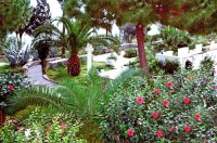 ���������� ����� - ����������� �� RCC-TRAVEL.RU