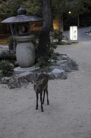 территория - фотогалерея на RCC-TRAVEL.RU территория - фотогалерея на RCC-TRAVEL.RU