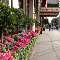 ��� - ����������� �� RCC-TRAVEL.RU