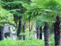 ���������� - ����������� �� RCC-TRAVEL.RU
