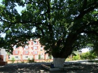 Общий вид - фотогалерея на RCC-TRAVEL.RU Общий вид - фотогалерея на RCC-TRAVEL.RU