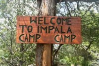 общий вид - фотогалерея на RCC-TRAVEL.RU общий вид - фотогалерея на RCC-TRAVEL.RU