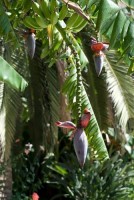 природа - фотогалерея на RCC-TRAVEL.RU природа - фотогалерея на RCC-TRAVEL.RU