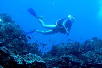 ������� - ����������� �� RCC-TRAVEL.RU