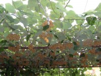 вид - фотогалерея на RCC-TRAVEL.RU вид - фотогалерея на RCC-TRAVEL.RU