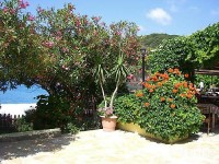 сад - фотогалерея на RCC-TRAVEL.RU сад - фотогалерея на RCC-TRAVEL.RU