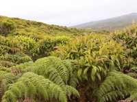 ������� - ����������� �� RCC-TRAVEL.RU