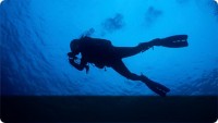 дайвинг - фотогалерея на RCC-TRAVEL.RU дайвинг - фотогалерея на RCC-TRAVEL.RU