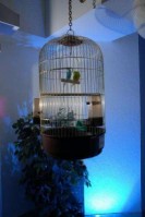 вид - фотогалерея на RCC-TRAVEL.RU вид - фотогалерея на RCC-TRAVEL.RU