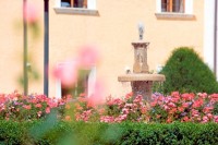 сад - фотогалерея на RCC-TRAVEL.RU сад - фотогалерея на RCC-TRAVEL.RU