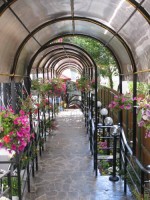 сад - фотогалерея на RCC-TRAVEL.RU сад - фотогалерея на RCC-TRAVEL.RU