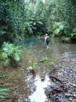 вид - фотогалерея на RCC-TRAVEL.RU вид - фотогалерея на RCC-TRAVEL.RU