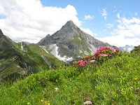 природа - фотогалерея на RCC-TRAVEL.RU природа - фотогалерея на RCC-TRAVEL.RU