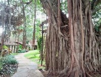 ����� ��� - ����������� �� RCC-TRAVEL.RU