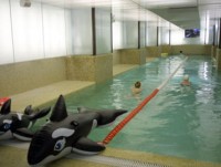 �������� ������� - ����������� �� RCC-TRAVEL.RU