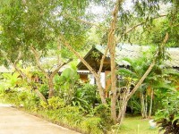 вид - фотогалерея на RCC-TRAVEL.RU вид - фотогалерея на RCC-TRAVEL.RU