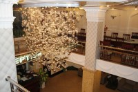 вид - фотогалерея на RCC-TRAVEL.RU вид - фотогалерея на RCC-TRAVEL.RU