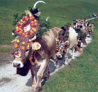 вид - фотогалерея на RCC-TRAVEL.RU вид - фотогалерея на RCC-TRAVEL.RU