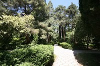 Территория санатория - фотогалерея на RCC-TRAVEL.RU Территория санатория - фотогалерея на RCC-TRAVEL.RU