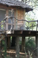 ����� ��� - ����������� �� RCC-TRAVEL.RU