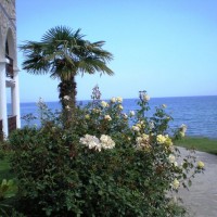 ��� - ����������� �� RCC-TRAVEL.RU