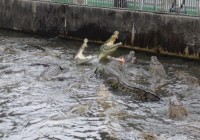 территория - фотогалерея на RCC-TRAVEL.RU территория - фотогалерея на RCC-TRAVEL.RU