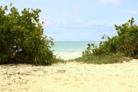 ���� - ����������� �� RCC-TRAVEL.RU