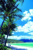 пляж - фотогалерея на RCC-TRAVEL.RU пляж - фотогалерея на RCC-TRAVEL.RU