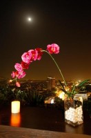 вид - фотогалерея на RCC-TRAVEL.RU вид - фотогалерея на RCC-TRAVEL.RU