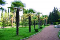 территория отеля - фотогалерея на RCC-TRAVEL.RU территория отеля - фотогалерея на RCC-TRAVEL.RU