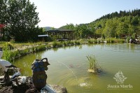 ���������� ����� - ����������� �� RCC-TRAVEL.RU