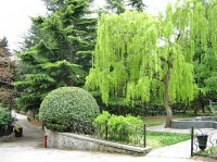 Территория санатория - фотогалерея на RCC-TRAVEL.RU Территория санатория - фотогалерея на RCC-TRAVEL.RU