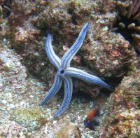 ��� - ����������� �� RCC-TRAVEL.RU