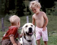 развлечения - фотогалерея на RCC-TRAVEL.RU развлечения - фотогалерея на RCC-TRAVEL.RU