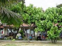 общий вид - фотогалерея на RCC-TRAVEL.RU общий вид - фотогалерея на RCC-TRAVEL.RU