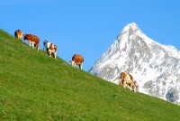 ������� - ����������� �� RCC-TRAVEL.RU