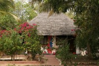 Бунгало - фотогалерея на RCC-TRAVEL.RU Бунгало - фотогалерея на RCC-TRAVEL.RU